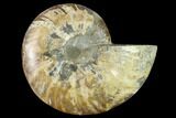 Agatized Ammonite Fossil (Half) - Madagascar #135245-1